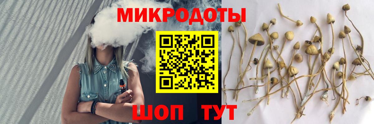 Мелеуз  купить закладку  Вход с VPN  Галлюциногенные грибы прущие грибы 